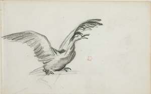 Vild duet (recto); To stående nøgne kvindefigurer i nicher (verso) af Charles Francois Daubigny