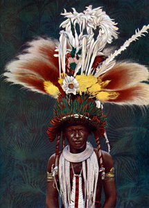 En Roro-høvding klædt på til en ceremoniel dans, Papua Ny Guinea, 1920. af Charles Gabriel Seligman