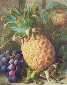 Stilleben af en ananas og druer
