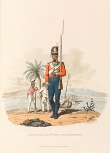 En menig fra 5. vestindiske regiment