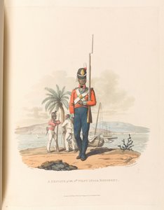 En menig fra 5. vestindiske regiment af Charles Hamilton (after) Smith
