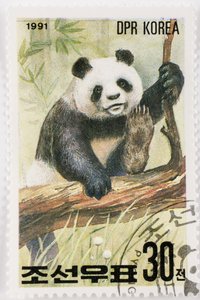 Frimærke/Nordkorea/Ailuropoda melanoleuca/Grand panda/Giant Panda