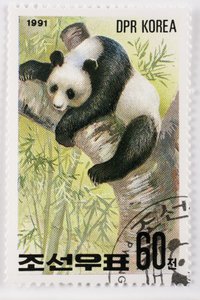 Frimærke/Nordkorea/Ailuropoda melanoleuca/Grand panda/Giant Panda