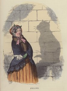 Feline (farvet gravering)