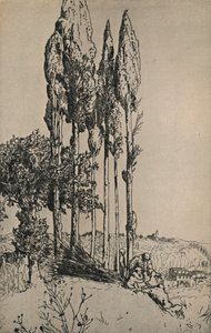 Cyprestræer nær Siena, 1903