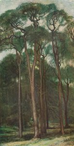 Studie af træer, c1900 1903-1904