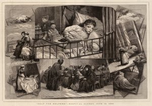 Hjælp Hjælperne!, Hospitalssøndag den 13. juni 1880