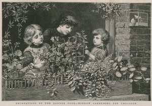 Rekreationer af de fattige i London: Vindueshavearbejde for børn (gravering) af Charles J. Staniland