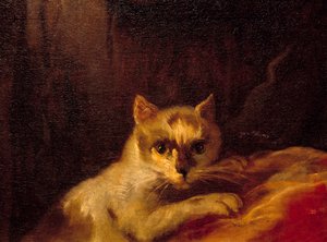 Mademoiselle de Charolais Detalje, der repræsenterer katten. Maleri af Charles Joseph Natoire (Charles-Joseph Natoire af Charles Joseph Natoire
