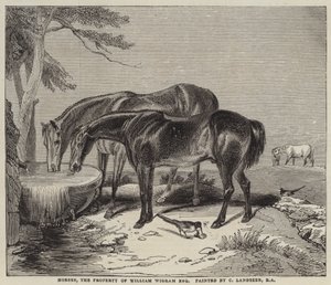 Heste, ejendom af William Wigram, Esquire
