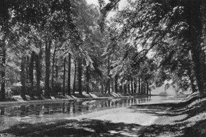 The T Pond (s/h foto)