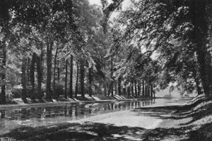 T-dammen af Charles Latham