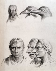 Profiler af fugl og "man-bird (man-bird)" - af Lebrun, i "" Behandler om menneskets fysionomie sammenlignet med dyrs""