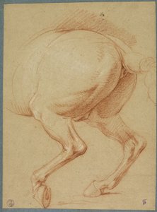Bagbenene på en hest af Charles Le Brun