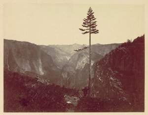 Yosemite Valley fra Mariposa Trail, ca. 1865. af Charles Leander Weed