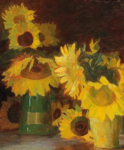 Fransk:  Tournesols Solsikker