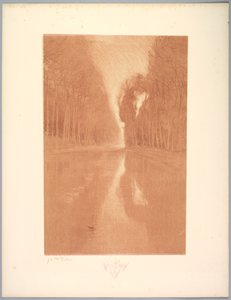 Suite af Landskaber: Landskab, Plade 2, Note, Stjerneblomster af Charles Marie Dulac