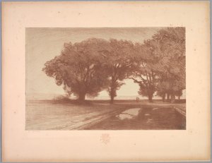 Suite af Landskaber: Landskab, Plade 8, Note, Stedmoderblomster