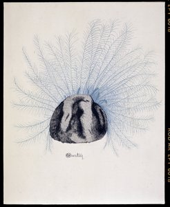 Fathered hat - "La Mode en 1912" af Marcelle Demay, illustration af Charles Martin (1884-1934) af Charles Martin