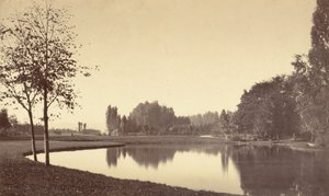 Bois de Boulogne, 1858 (foto) af Charles Marville