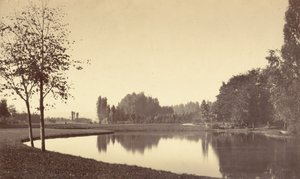 Bois de Boulogne af Charles Marville
