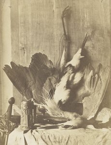 Game Still Life, ca. 1853-55 (albuminiseret saltet papirtryk) af Charles Marville