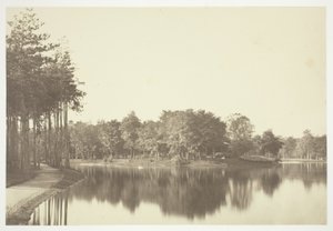 Uden titel af Charles Marville
