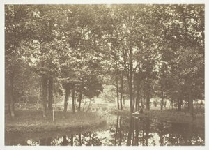 Uden titel af Charles Marville