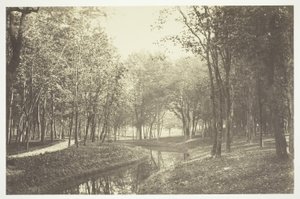 Uden titel af Charles Marville