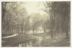 Uden titel, c. 1850. [Træer nær vand i Bois de Boulogne, en park i Paris]. af Charles Marville