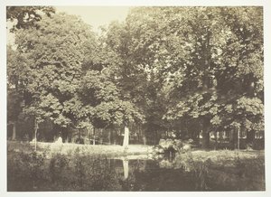 Uden titel, c. 1850. [Træer nær vand i Bois de Boulogne, en park i Paris]. af Charles Marville