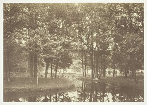 Uden titel, c. 1850. [Træer nær vand i Bois de Boulogne, en park i Paris].