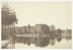 Uden titel, c. 1850. [Træer nær vand i Bois de Boulogne, en park i Paris]. af Charles Marville