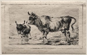 Ko og Æsel, 1849. af Charles Meryon
