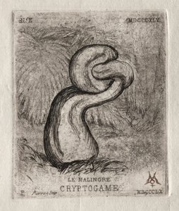 Det sygelige kryptogam, 1860. af Charles Meryon