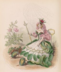Animerede blomster, 1867.