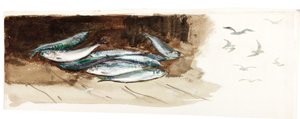 Undersøgelse af fisk (kropsfarve og akvarel på papir) af Charles Napier Hemy