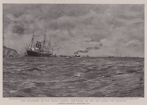 Strandingen af de lineære par, scenen på dagen efter katastrofen af Charles Napier Hemy