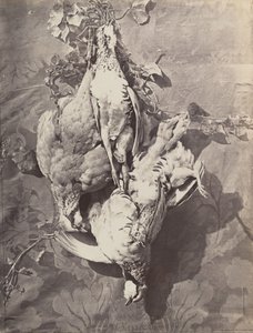 [Stilleben med fuglevildt], 1859. af Charles Nègre