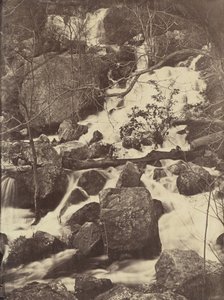 [Træer og Vandfald], 1860-65. af Charles Nègre