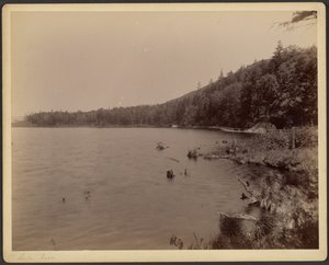 Saco-søen af Charles P. Hibbard