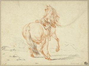 Hest uden rytter af Charles Parrocel