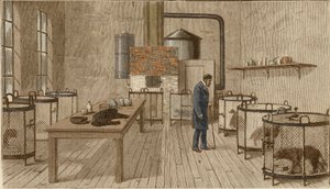 Dogs in cages inside laboratory of Louis Pasteurdani af Charles Paul Renouard