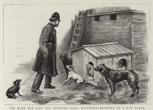 Hjemmet for fortabte og udsultede hunde, Battersea, der bringer en ny ind