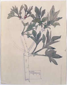 Elder, Walberswick, 1915 (wc & blyant på papir)