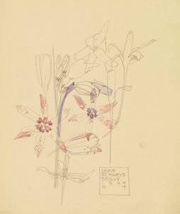 Ixias af Charles Rennie Mackintosh