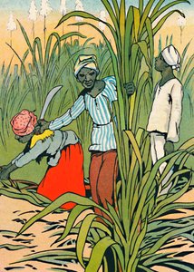 At Work Among The Sugar-Canes, 1912 af Charles Robinson