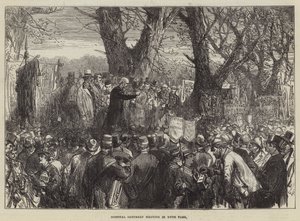 Hospital lørdag møde i Hyde Park af Sir John Charles Robinson