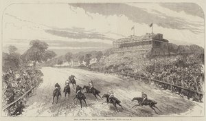 Alexandra Park Races, Muswell Hill af Sir John Charles Robinson