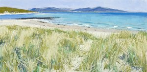 Strandgræs, Berneray, 2011 (olie på lærred) af Charles Simpson